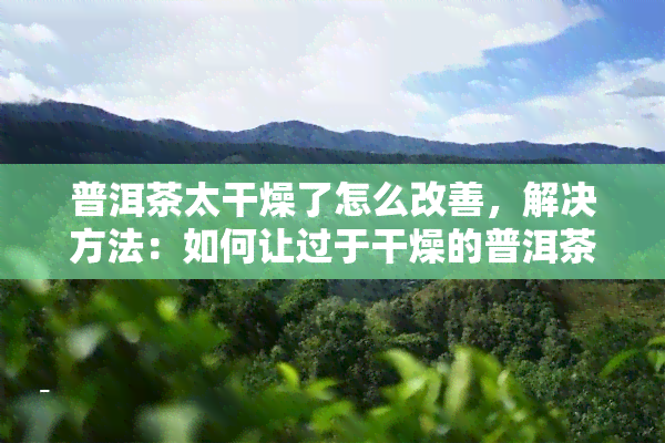 普洱茶太干燥了怎么改善，解决方法：如何让过于干燥的普洱茶恢复原状？