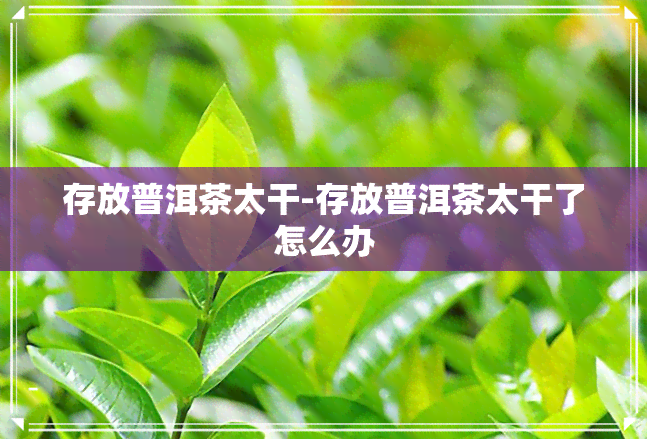 存放普洱茶太干-存放普洱茶太干了怎么办