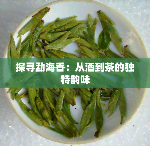 探寻勐海香：从到茶的独特韵味