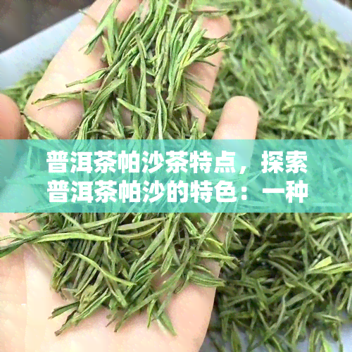 普洱茶帕沙茶特点，探索普洱茶帕沙的特色：一种独特的口感和历背景