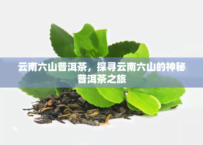 云南六山普洱茶，探寻云南六山的神秘普洱茶之旅