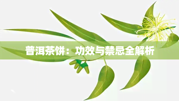 普洱茶饼：功效与禁忌全解析