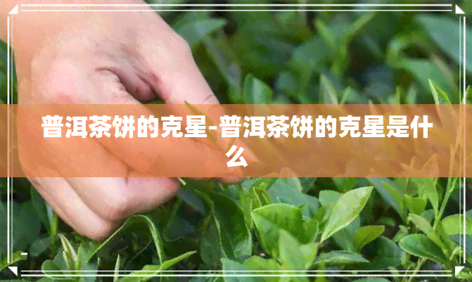 普洱茶饼的克星-普洱茶饼的克星是什么