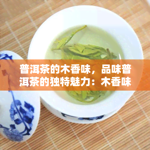 普洱茶的木香味，品味普洱茶的独特魅力：木香味的探索