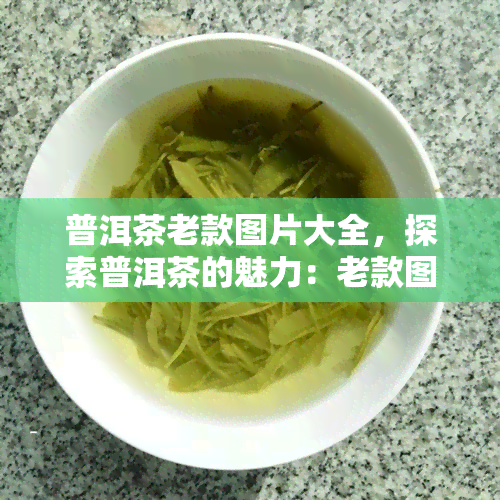 普洱茶老款图片大全，探索普洱茶的魅力：老款图片大全