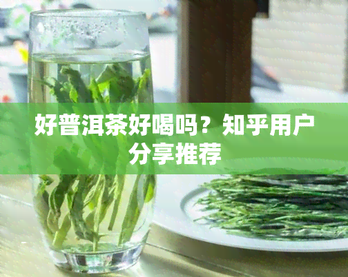 好普洱茶好喝吗？知乎用户分享推荐