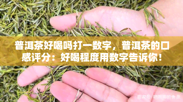 普洱茶好喝吗打一数字，普洱茶的口感评分：好喝程度用数字告诉你！