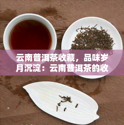 云南普洱茶收藏，品味岁月沉淀：云南普洱茶的收藏价值与文化内涵