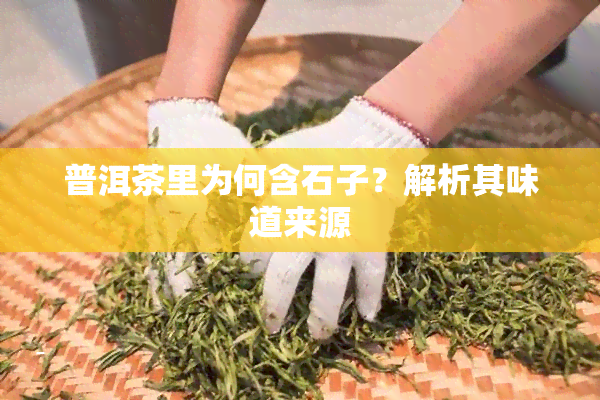 普洱茶里为何含石子？解析其味道来源