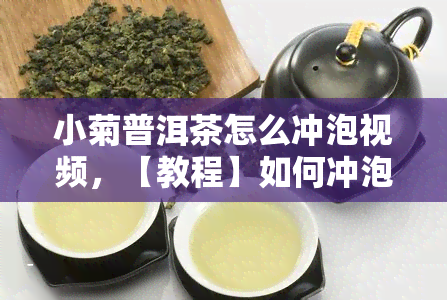 小菊普洱茶怎么冲泡视频，【教程】如何冲泡美味的小菊普洱茶？看这里！