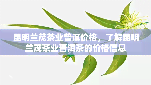 昆明兰茂茶业普洱价格，了解昆明兰茂茶业普洱茶的价格信息