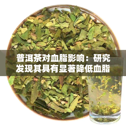 普洱茶对血脂影响：研究发现其具有显著降低血脂的作用