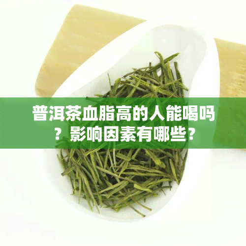 普洱茶血脂高的人能喝吗？影响因素有哪些？