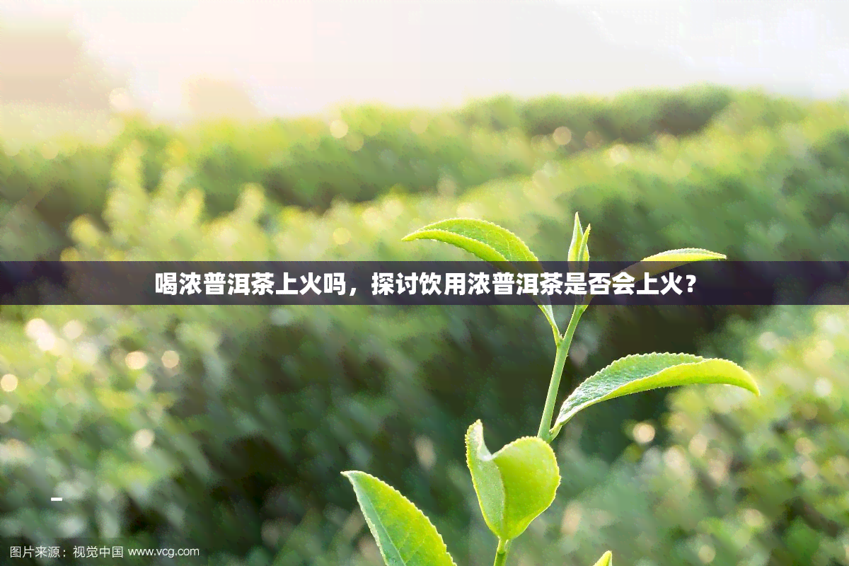 喝浓普洱茶上火吗，探讨饮用浓普洱茶是否会上火？