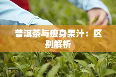 普洱茶与瘦身果汁：区别解析