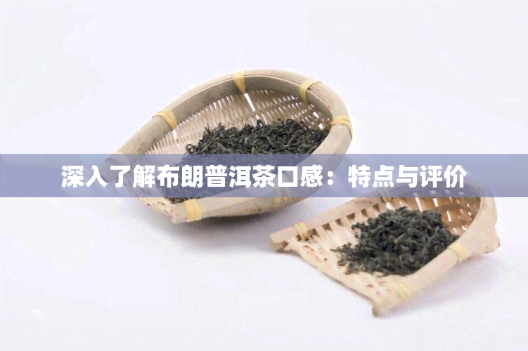 深入了解布朗普洱茶口感：特点与评价