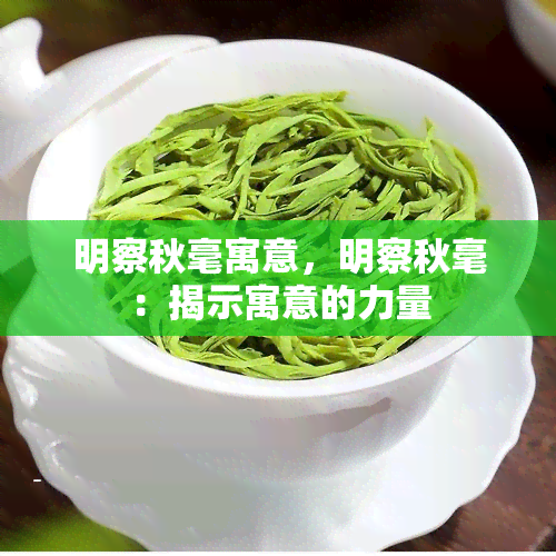 明察秋毫寓意，明察秋毫：揭示寓意的力量