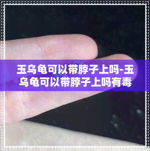 玉乌龟可以带脖子上吗-玉乌龟可以带脖子上吗有吗