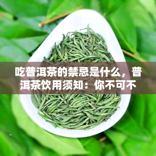 吃普洱茶的禁忌是什么，普洱茶饮用须知：你不可不知的七大禁忌