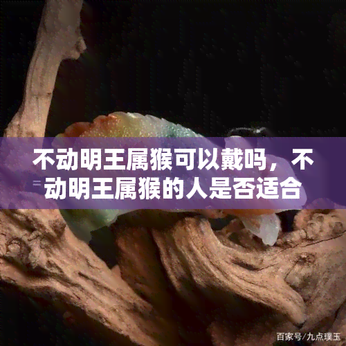 不动明王属猴可以戴吗，不动明王属猴的人是否适合佩戴？