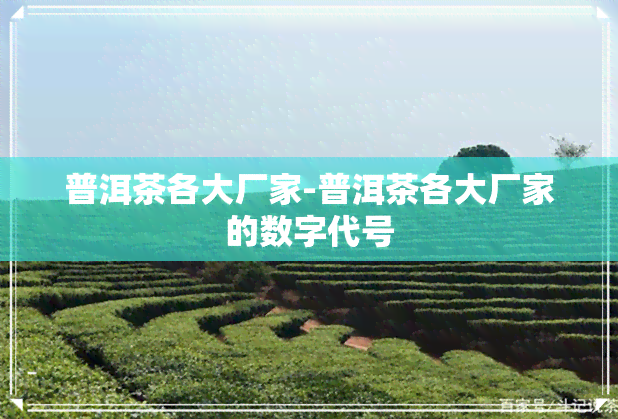 普洱茶各大厂家-普洱茶各大厂家的数字代号