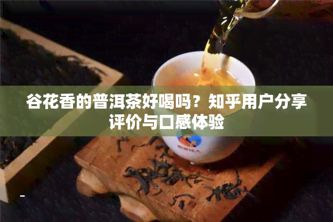 谷花香的普洱茶好喝吗？知乎用户分享评价与口感体验