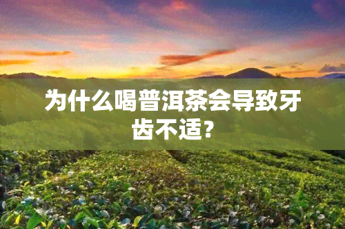 为什么喝普洱茶会导致牙齿不适？