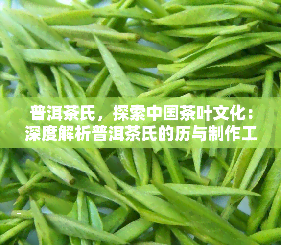 普洱茶氏，探索中国茶叶文化：深度解析普洱茶氏的历与制作工艺