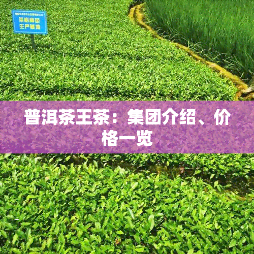 普洱茶王茶：集团介绍、价格一览