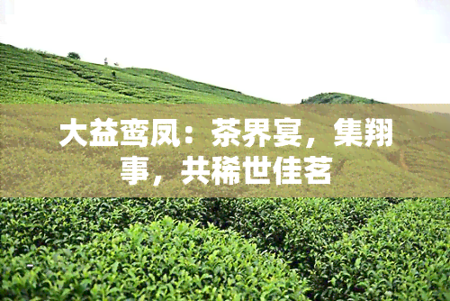 大益鸾凤：茶界宴，集翔事，共稀世佳茗