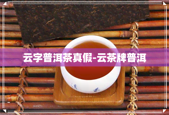 云字普洱茶真假-云茶牌普洱