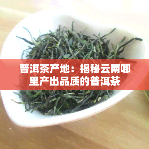 普洱茶产地：揭秘云南哪里产出品质的普洱茶