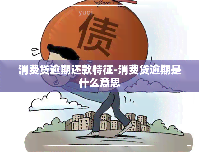 消费贷逾期还款特征-消费贷逾期是什么意思