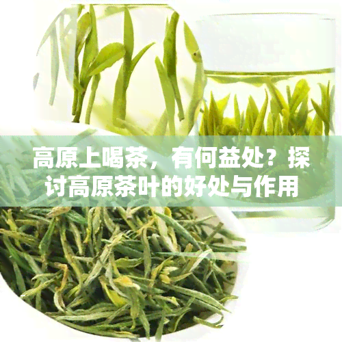 高原上喝茶，有何益处？探讨高原茶叶的好处与作用