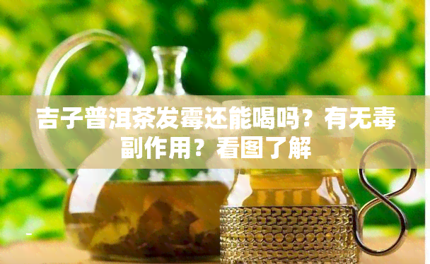 吉子普洱茶发霉还能喝吗？有无副作用？看图了解