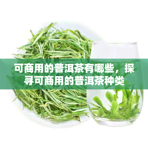 可商用的普洱茶有哪些，探寻可商用的普洱茶种类