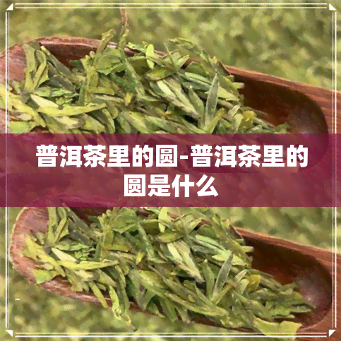 普洱茶里的圆-普洱茶里的圆是什么