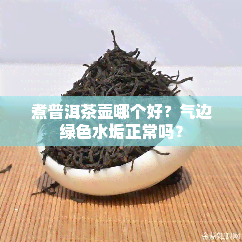 煮普洱茶壶哪个好？气边绿色水垢正常吗？