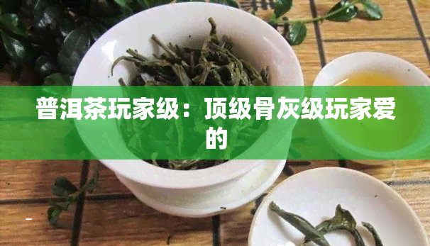 普洱茶玩家级：顶级骨灰级玩家爱的