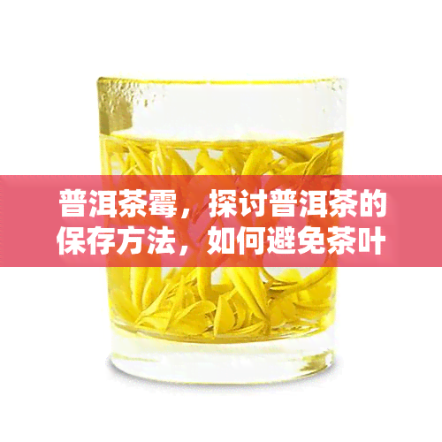 普洱茶霉，探讨普洱茶的保存方法，如何避免茶叶发霉？