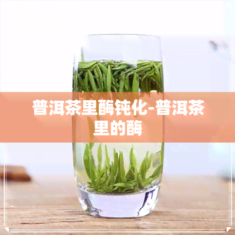 普洱茶里酶钝化-普洱茶里的酶