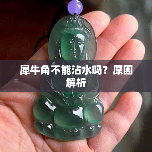 犀牛角不能沾水吗？原因解析