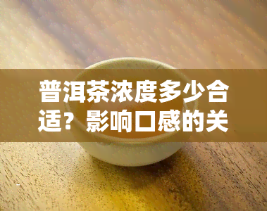 普洱茶浓度多少合适？影响口感的关键因素解析