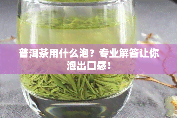 普洱茶用什么泡？专业解答让你泡出口感！