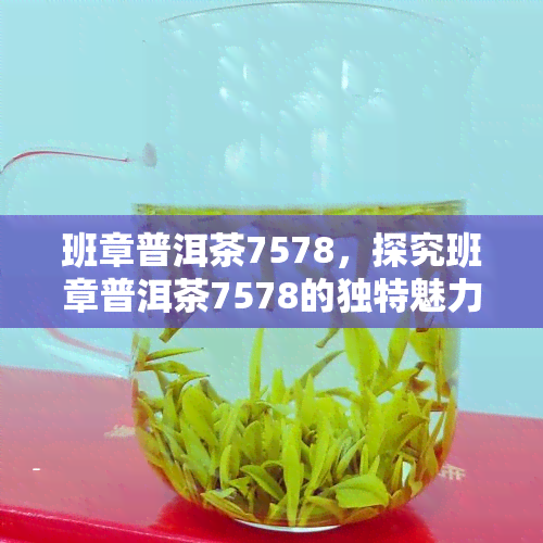 班章普洱茶7578，探究班章普洱茶7578的独特魅力与品鉴技巧