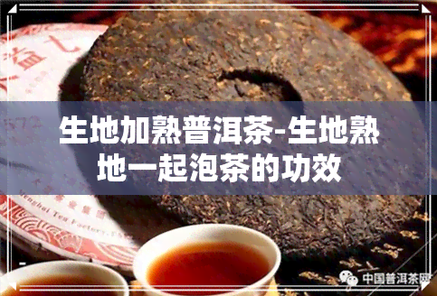 生地加熟普洱茶-生地熟地一起泡茶的功效