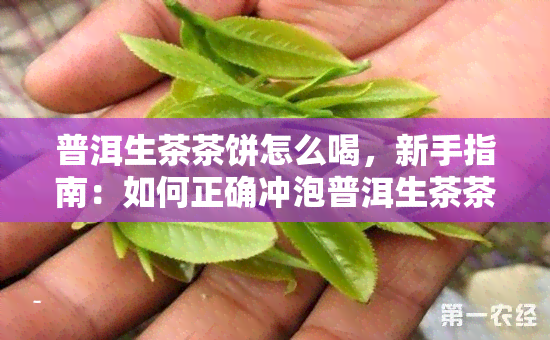 普洱生茶茶饼怎么喝，新手指南：如何正确冲泡普洱生茶茶饼？