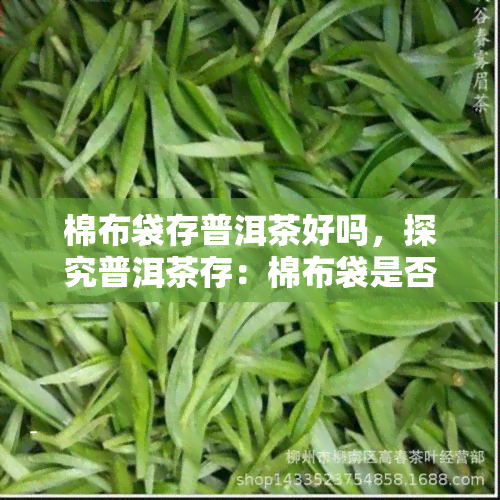 棉布袋存普洱茶好吗，探究普洱茶存：棉布袋是否是理想选择？