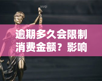 逾期多久会限制消费金额？影响使用的严重性解析