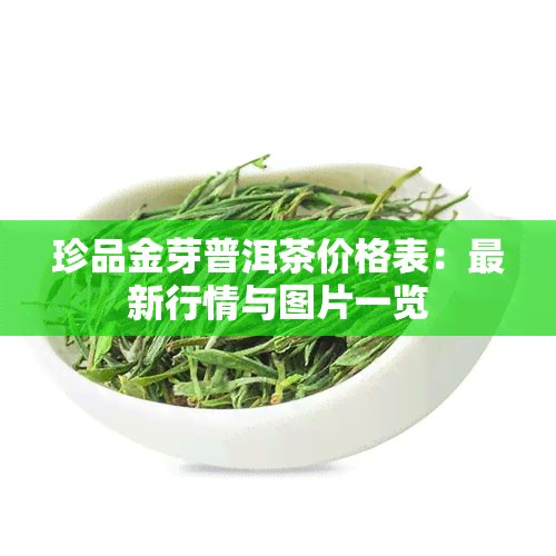 珍品金芽普洱茶价格表：最新行情与图片一览